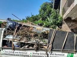 Types of Items We Remove From Your Property in Lithia Springs, GA